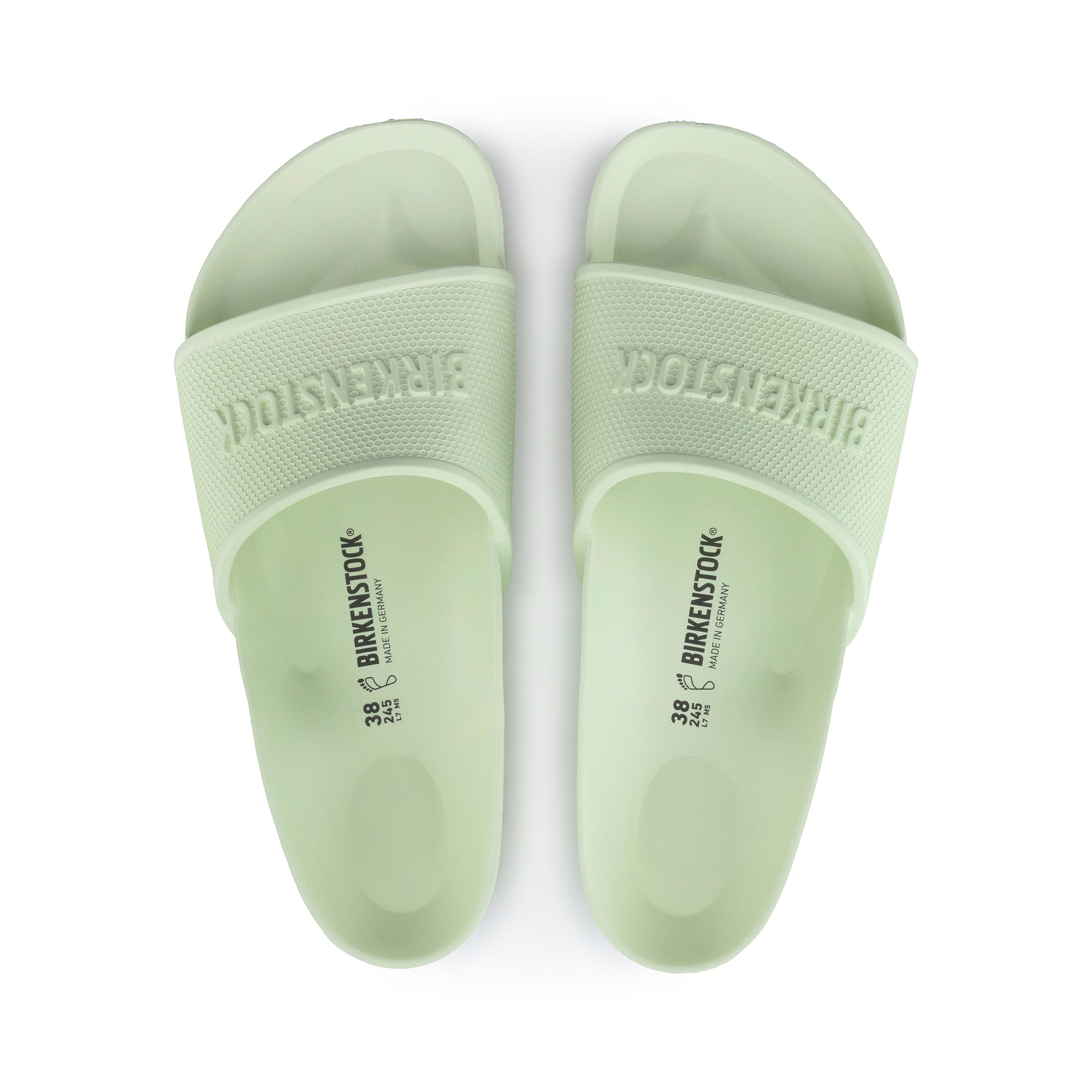 Barbados EVA Faded Lime